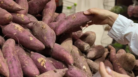 2026 Jul 04. Hand Selects Purple Sweet Potato From Market Counter Vídeos de archivo 339085546