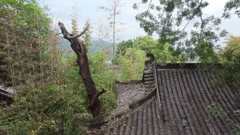 2026 Jul 19, Chongqing. Weathered dead gnarled tree trunk by ornate Stock Footage 342332829
