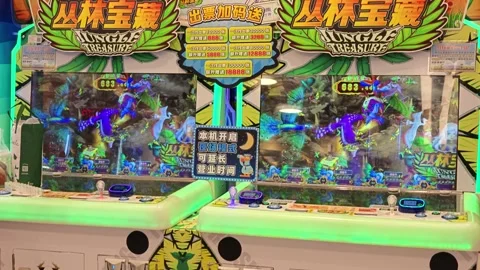 2026 Jun 29, Shanghai. Twin Jungle Treasure arcade cabinets stand side by side Stock Footage 337880220