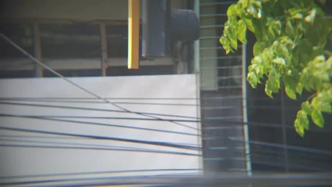 20260107 140811 1 Stock Footage 339067304