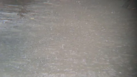 20260201 153946 1 Vídeo Stock 340199746