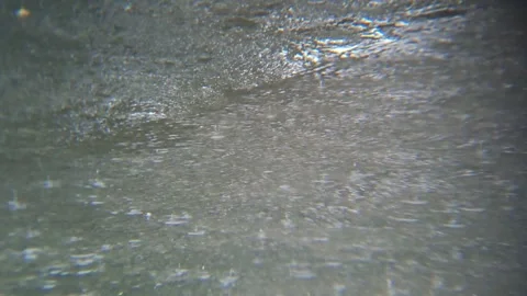 20260201 154333 1 Video stock 340199747