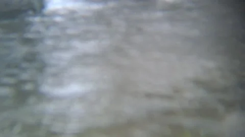 20260201 154954 1 Video stock 340199831