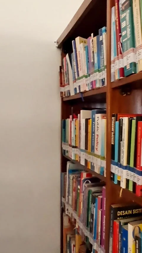20260203 065451~2 Vídeo Stock 340199833