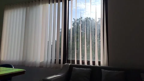 20260206 070743 1 Vidéo 340543773