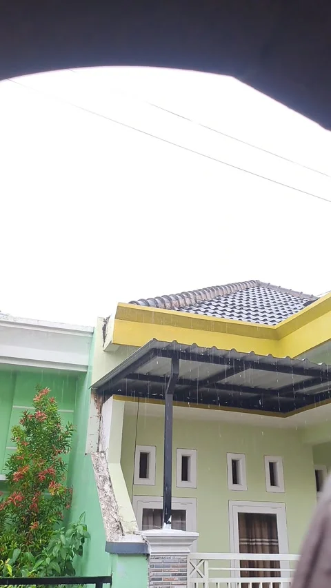20260222 145043~2 Video stock 340546000