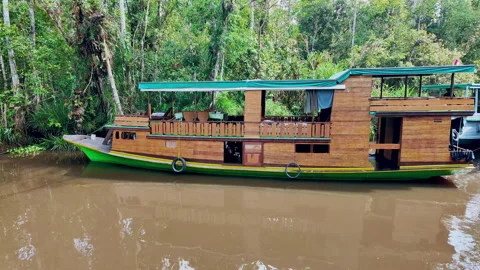 2026/07/23, Tanjung Puting, Indonesia - Line of parked klotok boats. Stock Footage 346370702