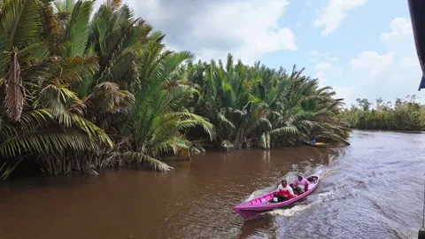 2026/07/23, Tanjung Puting, Indonesia - Local fishermen in a long boat. Stock Footage 346363895