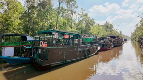 2026/07/23, Tanjung Puting, Indonesia - Parked klotok boats on river. Stock Footage 346364542