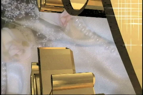 2027 The Garter Stock Footage 818406