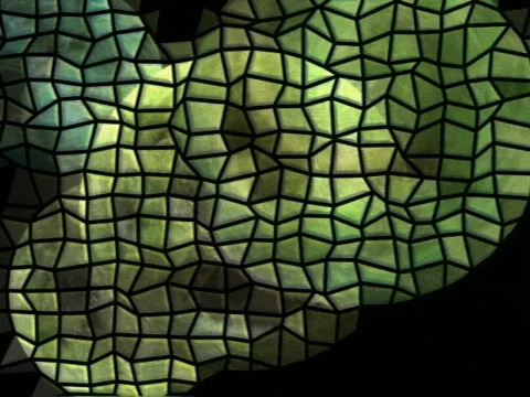 2031 Mosaicryptic-01 Stock Footage 446136