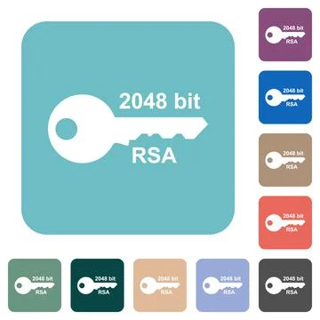 2048 bit rsa encryption rounded square flat icons Stock Illustration