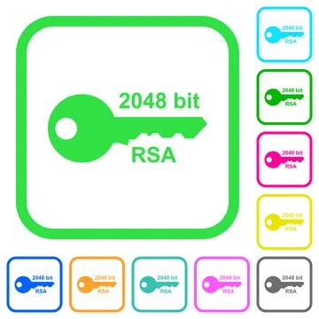 2048 bit rsa encryption vivid colored flat icons Stock Illustration