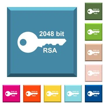 2048 bit rsa encryption white icons on edged square buttons Stock-Illustration