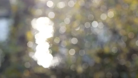 20nov2020-3 Stock Footage 233519010