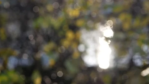 20nov2020-4 Video stock 233519165