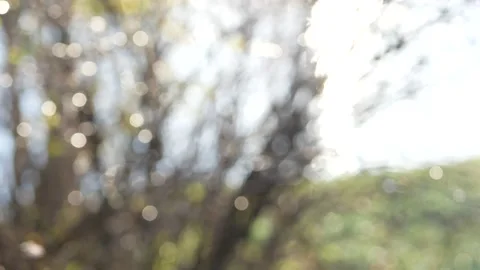 20nov2020-5 Stock Footage 233519252