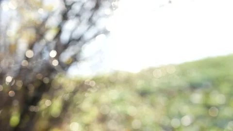20nov2020-7 Stock Footage 233519606