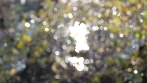 20nov2020-8 Stock Footage 233519863