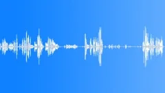 20SecondWildBirdsLoop Sound Effect