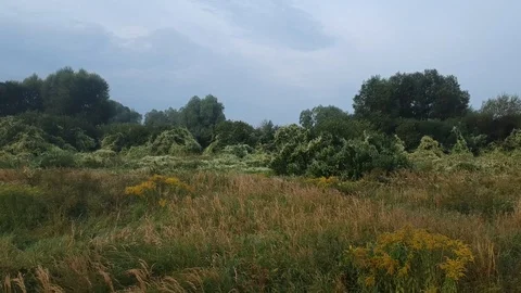 21 3 Video stock 104078570