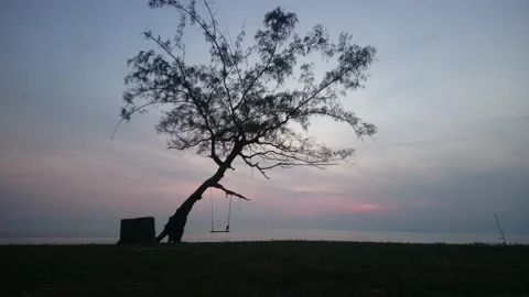 21 inclined tree with swing facing oceanic sunrise Stock Footage 145654638