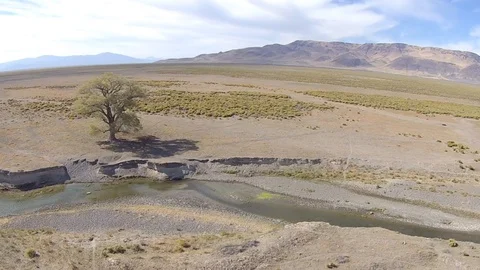 2.167 Lone Tree Rotating Left over River with Mountains in Background 001529 Stock Footage 90257853