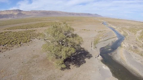 2.168 Lone Tree Lowering Down to Tree with River Stretching into Distance 000927 Stock-Footage 90257852