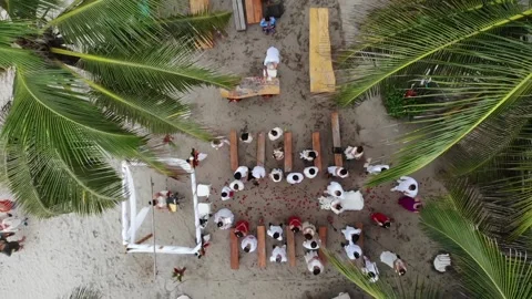 22 Palomino Stock Footage 135764552