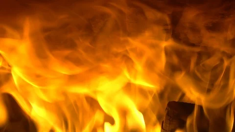 221 Stock Footage 130134739