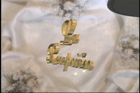 2217 La Recepcion The Reception Stock Footage 825517