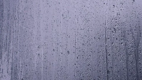 22222 Stock Footage 301051066