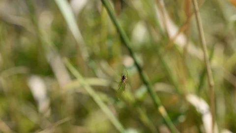 2282 JUL 19 Stock Footage 113346433