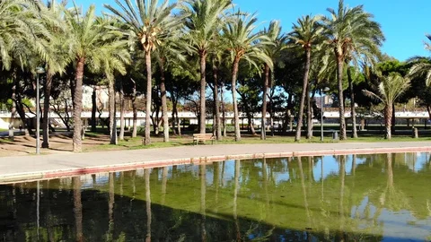 229  Flying under an old stone bridge with beautiful palm trees Stock Footage 88170966