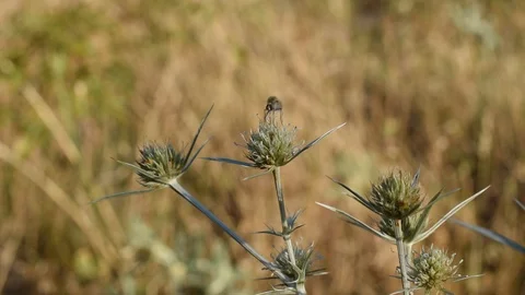 2298 JUL 19 Stock Footage 113545702