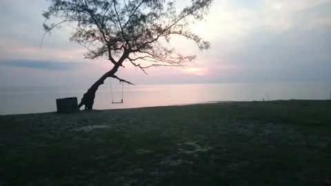 23 inclined tree with swing facing oceanic sunrise Stock Footage 145654152
