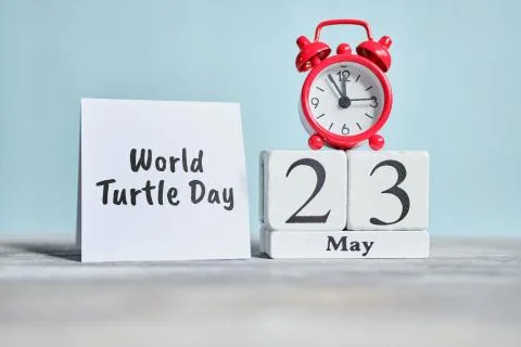 23 twenty third World Turtle day May Month Calendar Concept on Wooden Blocks. Stock Photos