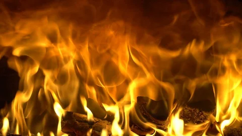 231 Stock Footage 130134933