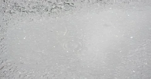 2322 Dying Rose Falling in the Rain, 4K Stock Footage 42749654