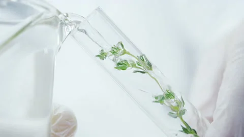 2339 laboratory green 30fps Stock Footage 144013287