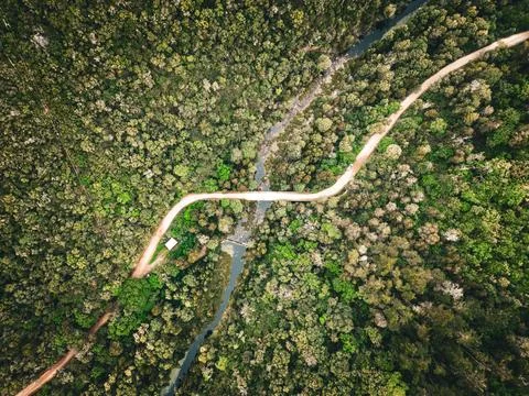 Aerial view of a winding road surrounded by lush green trees in a ...