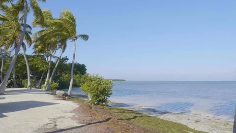 237 Key West Palm Beach by the beach in Florida Stock-Footage 104812552
