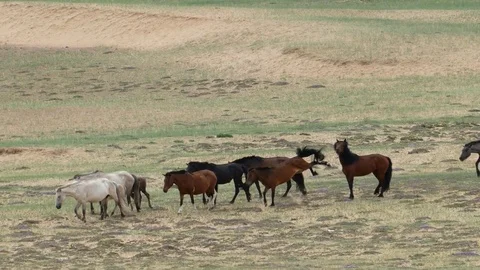 2384 Stock-Footage 85181481