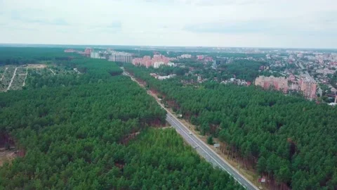 23View of the forest from above. Road from a height. Forest and road from above. Stock Footage 159442981