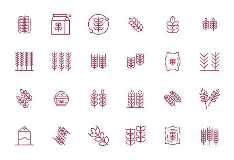 24 Bold Line Display Perfect Vectors for Oats Theme Stock Illustration