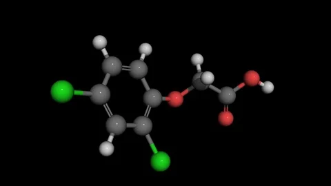 2,4-Dichlorophenoxyacetic acid agent orange molecule model rotating Stock Footage 70578855