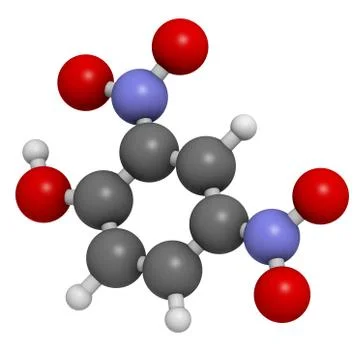 2,4-dinitrophenol (dnp), molecular model Stock Illustration