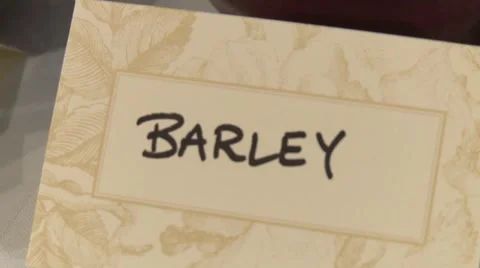 24 Stock Footage 919375