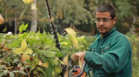 24. Gardener trimming hedge.Worker shaping bushy fence.Electric trimmer.Cutting. Stock Footage 42775321