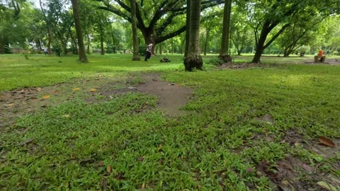 24 Man Mowing Grass in Open Field Surrounded by Trees Stock Footage 313778828